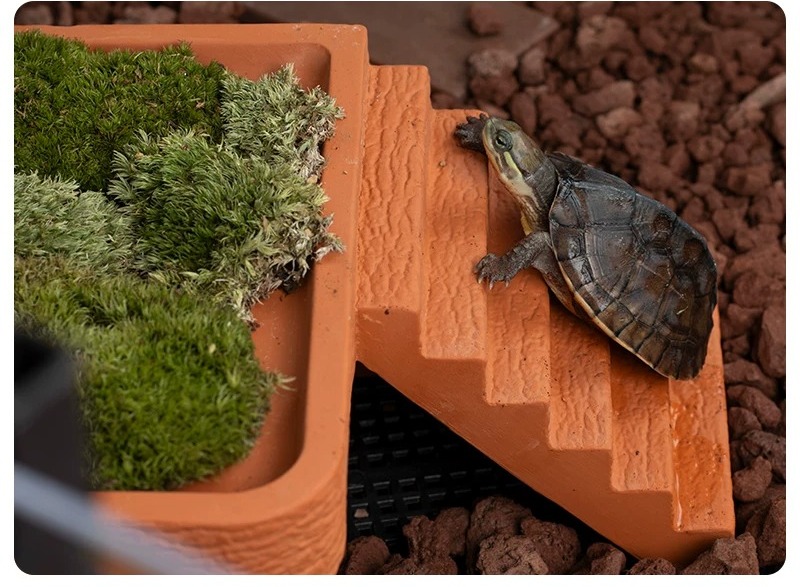 Aquarium-Schildkröten-Plattfor – Hide Cave Ceramic Bewertung und Preis