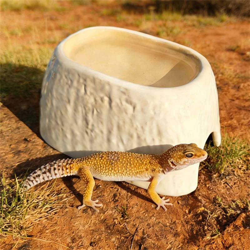 Keramische Höhle mit Leoparden – Hide Cave Ceramic Bewertung und Preis