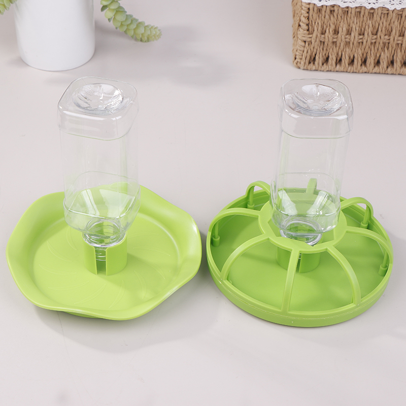 Reptilien-Wasserspender Futter – Water Dish Reptile Bewertung und Preis
