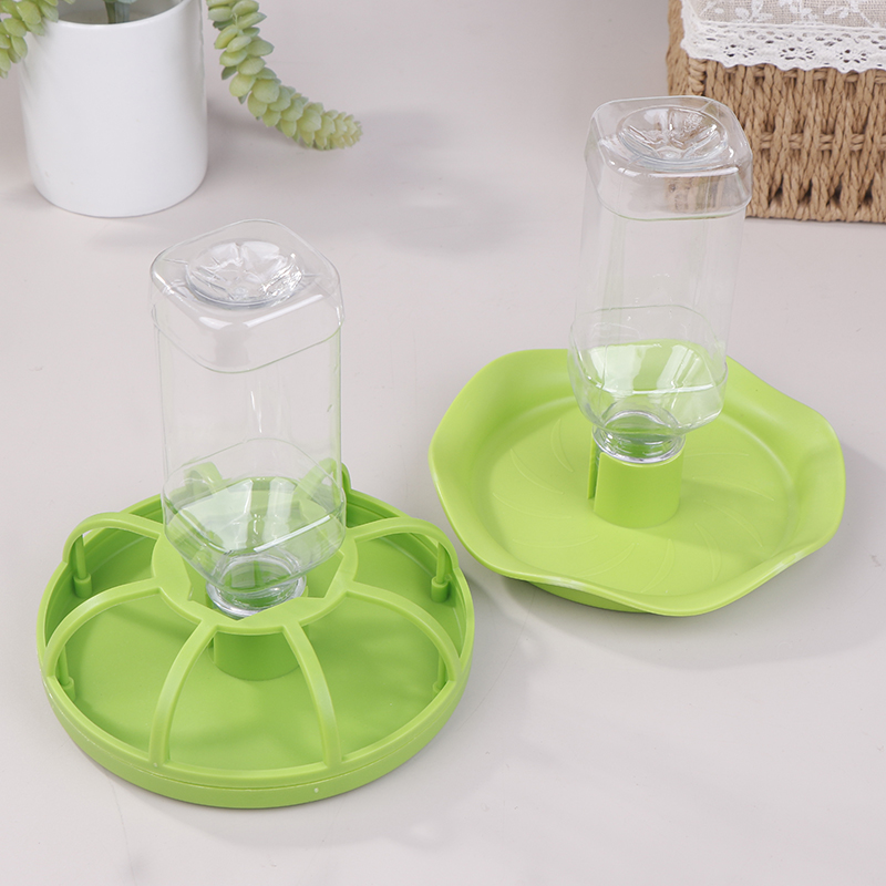 Reptilien-Wasserspender Futter – Water Dish Reptile Bewertung und Preis